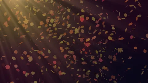 Falling Leaves With Sun Rays Stock Footage 209572312