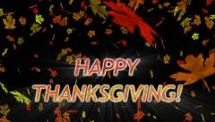 Happy Thanksgiving Abundant Harvest 4K L, Stock Video