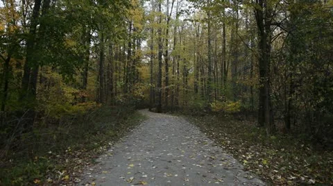 Falling Leaves on Trail 스톡 동영상 10940330