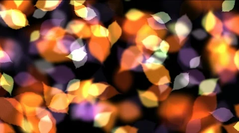 Falling Leaves. View from the top. Stock Footage 6530713