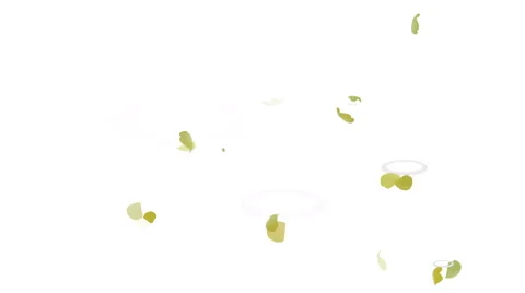 Falling leaves into the water on a white background Stock Footage 68602421
