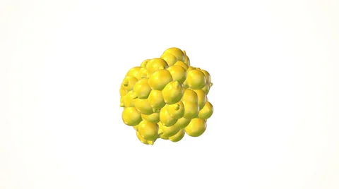 Falling lemon on white background Stock Footage 58089850