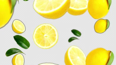 Falling lemons Background, with Alpha Channel, Loop  스톡 동영상 231063099