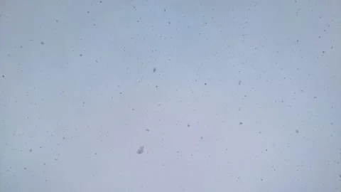 Falling on lens large snowflakes close-up. Snowfall in slow motion Stock Footage 227003509
