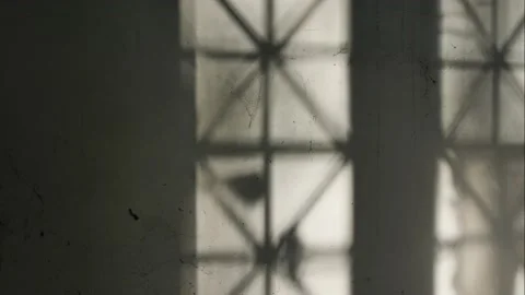 Falling light from the window moves along the wall, time-lapse. Video stock 220296602