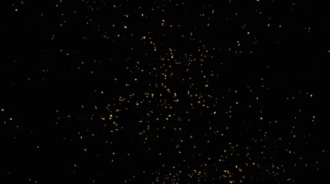 Falling looped autumn yellow leaves from top in slow motion Stock Footage 66424795