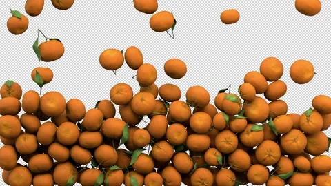 Falling mandarins – 3d render with alpha channel. Stock Footage 267561597