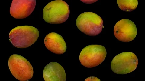 Falling Mangoes on Transparent Background (Looping with Alpha Channel) 스톡 동영상 92831306