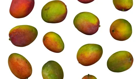 Falling Mangoes  on White Background (Looping) Stock Footage 92829918