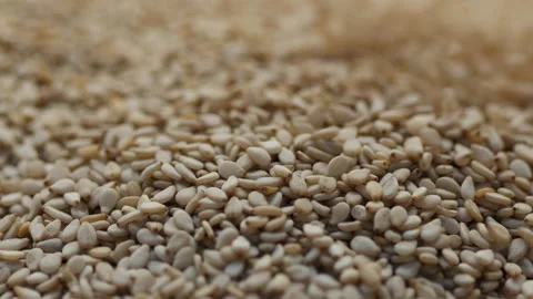 Falling many sesame seeds Stock Footage 162643301