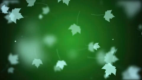 Falling maple leaf in autumn 스톡 일러스트