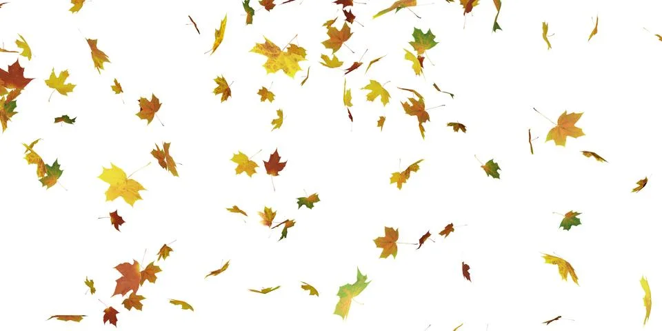 Falling maple leaves of different colors isolated white. 3D illustration Stock Illustration