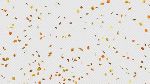 Falling Maple Leaves Stock Footage 157364905