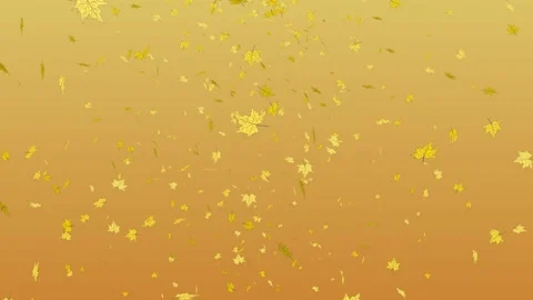 Falling maple leaves Stock Footage 315131117