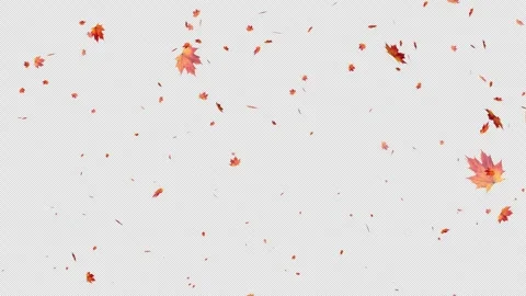 Falling maple leaves gently drift from left to right in seamless looped ani.. Stock Footage 309201033