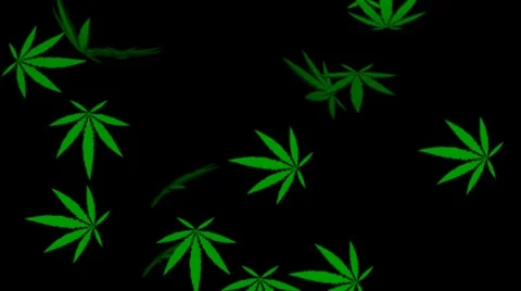Falling Marijuana Alpha Channel Stock-Footage 909142