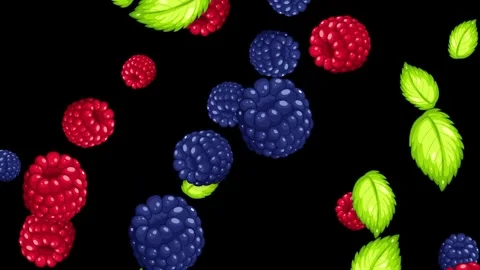 Falling Mixed Berries and Green Mint Leaves on Black Background Stock Footage 342923408
