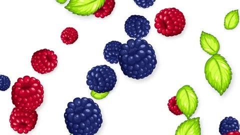 Falling Mixed Berries and Green Mint Leaves on White Background Stock Footage 343699178