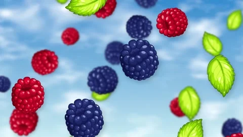 Falling Mixed Berries and Green Leaves Animation Over Blue Sky Stock Footage 344831621
