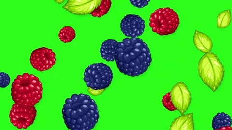 Falling Mixed Berries and Mint Leaves Animation on Green Screen Stock Footage 344835138