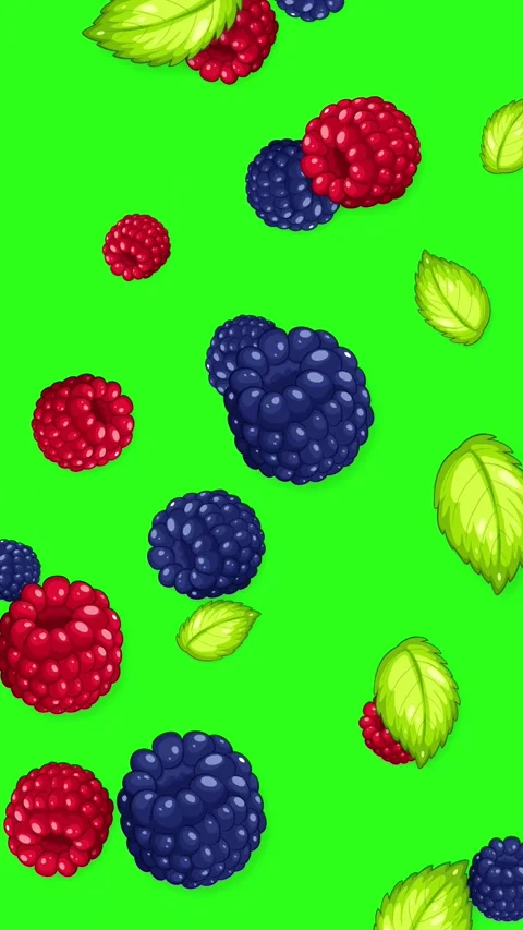 Falling Mixed Berries and Mint Leaves on Green Screen Background Stock Footage 346570751