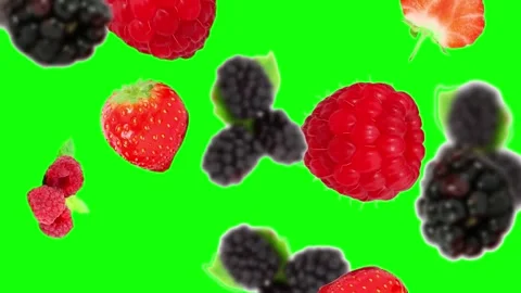 Falling Mixed Berries Strawberries Raspberries Green Screen Stock Footage 340635573