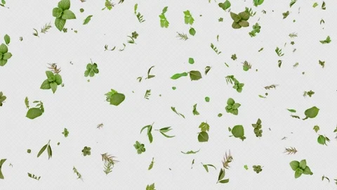 Falling Mixed Herb Leaves with Alpha Channel Natural Overlay Stock Footage 330877912
