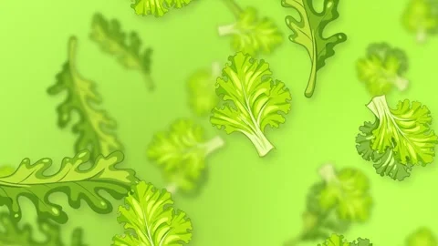 Falling Mixed Salad Leaves and Green Kale on Bright Background Stock Footage 342237806