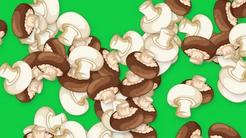 Falling Mixed White and Brown Mushrooms on Green Screen Background Stock Footage 339517938