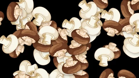 Falling Mixed White and Brown Mushrooms Animation on Black Background Stock Footage 341067553