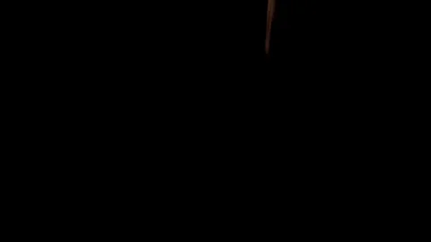 Falling Money Stock Footage 98681020