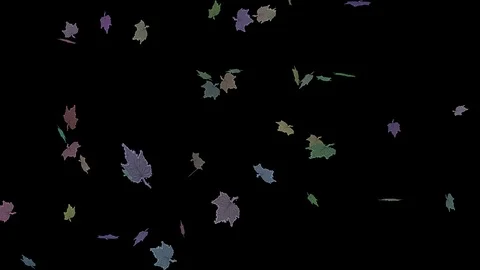 Falling multi-color leaves isolated on black background 库存影片 95977203