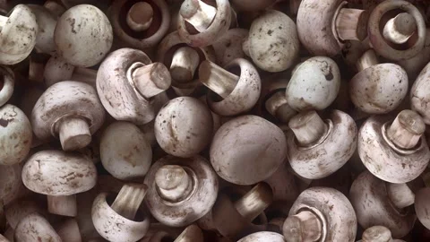 Falling Mushrooms Transition effect with alpha channel. 3D rendering Stock Footage 142853922