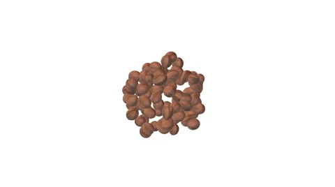 Falling nut on white background Stock Footage 58119238