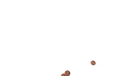 Falling nut on white background Stock Footage 58119271