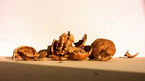 Falling of nuts with open shell on a table Stock Footage 103797659