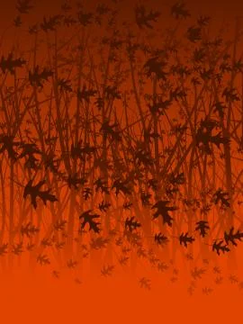 Falling oak leaves Stock Illustration