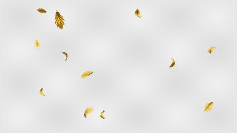 Falling Oak Leaves Overlay on Transparent Background - Autumn Alpha Loop Stock Footage 335891595