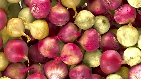 Falling Onions Transition effect with alpha channel. 3D rendering Video stock 142786913