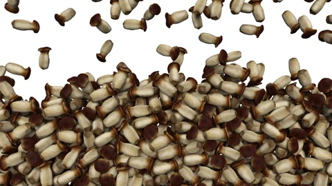 Falling oyster mushroom on white background. Vídeo Stock 285697481