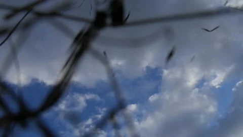 Falling particles at clouds background Stock-Footage 130663682