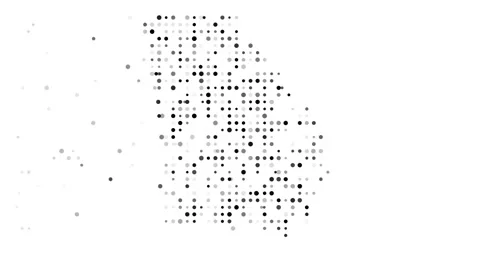 Falling Particles Construct Georgia State Map Reveal Stock Footage 321294704
