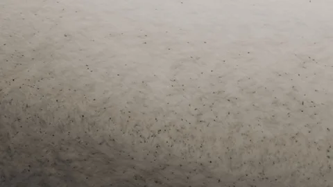 Falling Particles Stock Footage 90085581