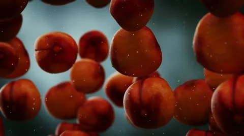 Falling peaches slow motion fruit juicy diet Video stock 21641748