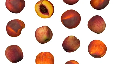 Falling Peaches on White Background (Looping) Stock Footage 95056872