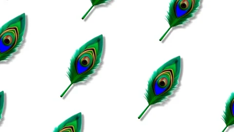 Falling Peacock Feathers Animation for Happy Janmashtami Festival Background. Stock Footage 340976257
