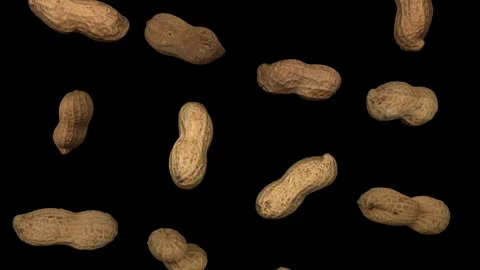 Falling Peanut Pods on Transparent Background (Looping with Alpha Channel) Stock Footage 93596128