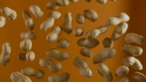 Falling peanuts in slow motion on the orange background, slow motion food Stock Footage 116027037
