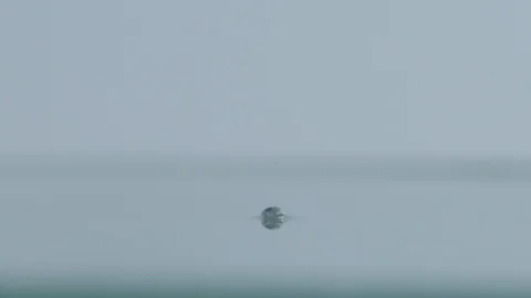 Falling pearls on the floor Video stock 112100099