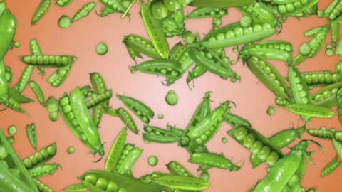 Falling Peas Animation, Background, with Alpha Matte, Loop Stock Footage 168329294